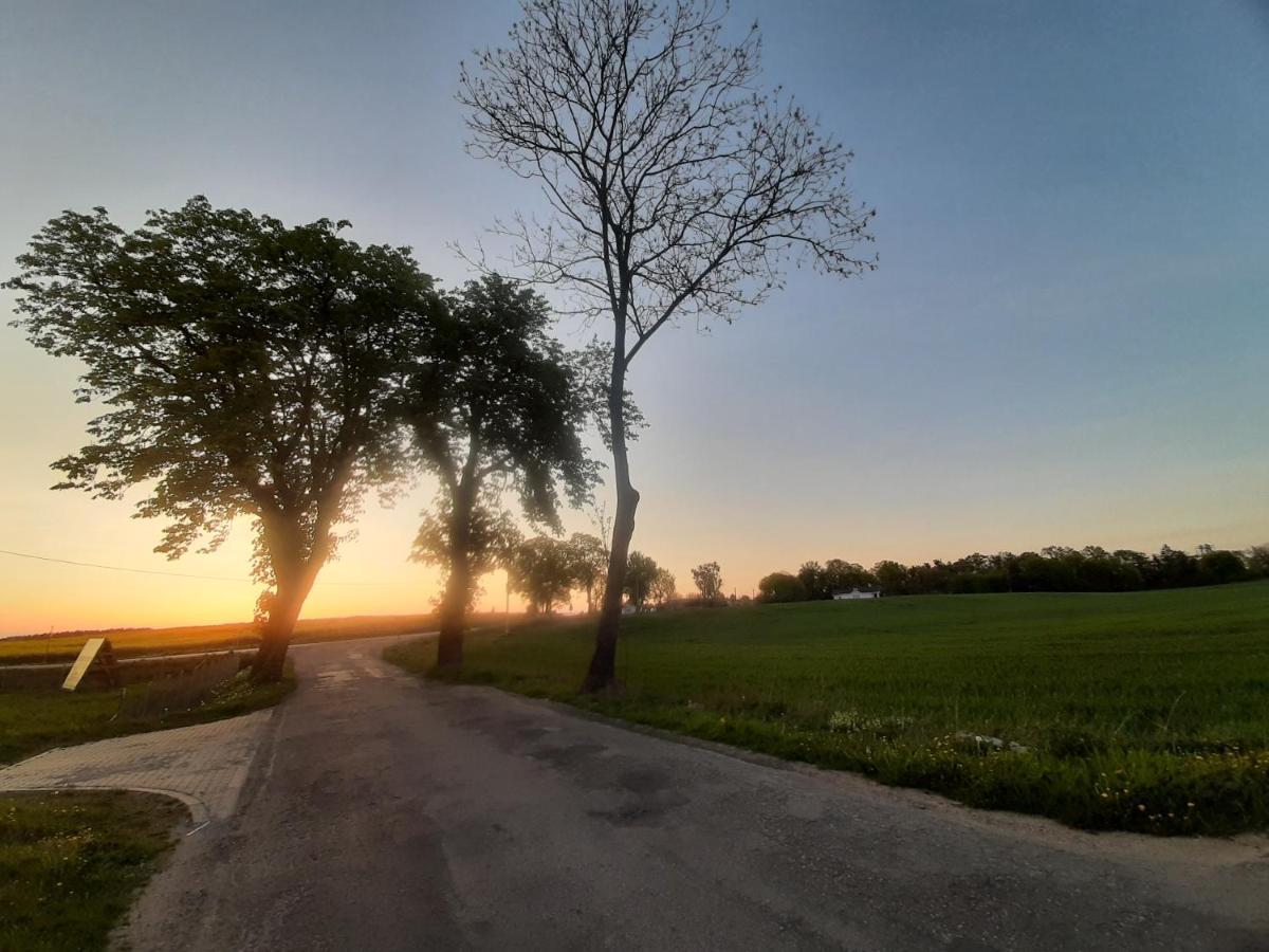 Noclegi Zdzislaw Sieradzki Zbiczno Екстериор снимка