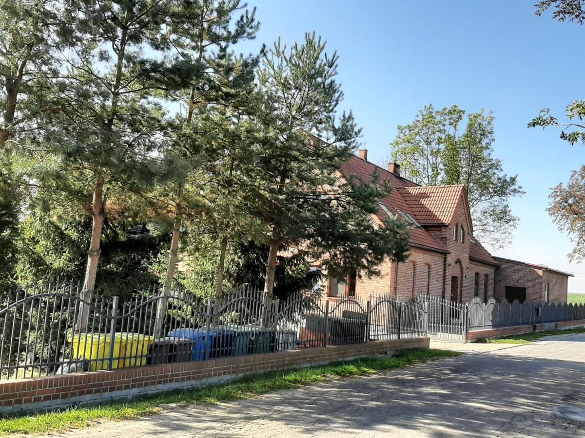 Noclegi Zdzislaw Sieradzki Zbiczno Екстериор снимка