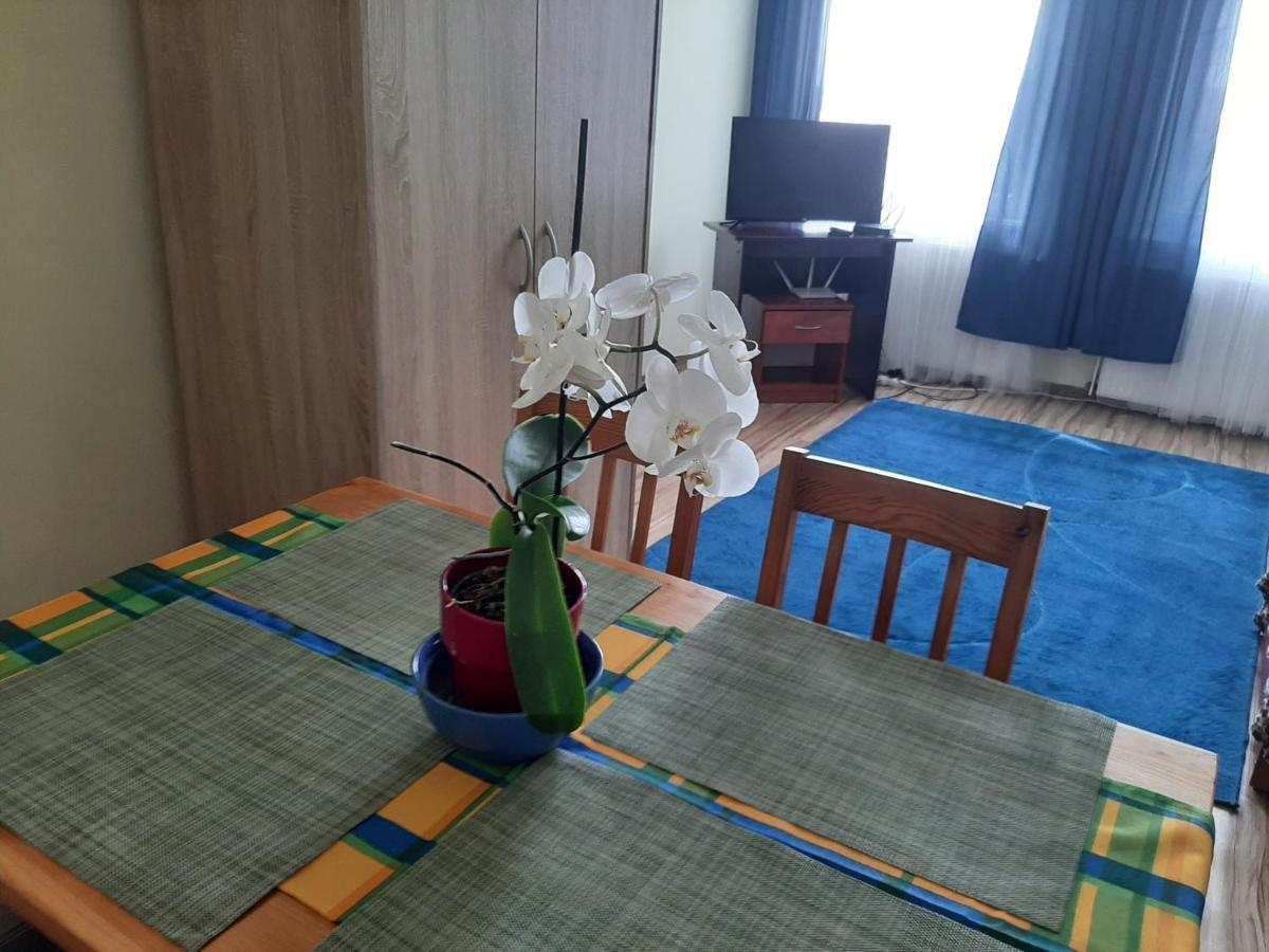 Noclegi Zdzislaw Sieradzki Zbiczno Екстериор снимка