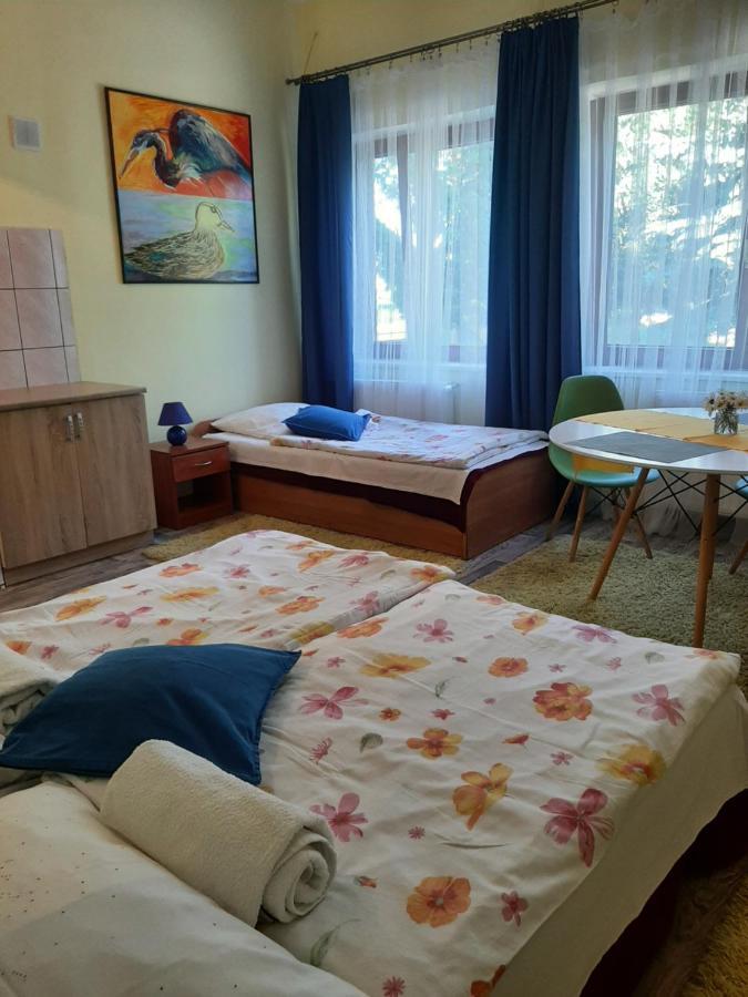 Noclegi Zdzislaw Sieradzki Zbiczno Екстериор снимка